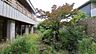 その他：中庭です。