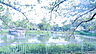 周辺：隼人池公園まで753m