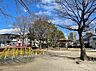 周辺：一本松公園まで337m