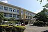周辺：宮崎市立大宮中学校まで989m