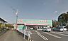 周辺：ディスカウントドラッグコスモス小松店まで87m
