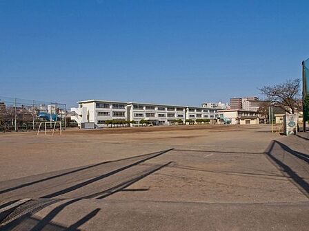 茅ヶ崎市立茅ヶ崎小学校まで198m