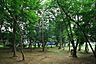 周辺：宮内緑地公園まで80m、近くに公園があります～朝の散歩も、夕暮れの一息も、すぐそこに緑がある暮らし。