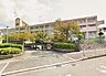 周辺：堺市立新浅香山小学校まで750m