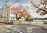 周辺：堺市立三国丘中学校まで340m