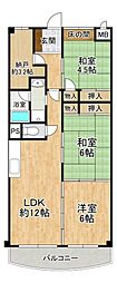 サンフラワー高石