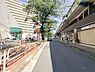 その他：街路樹の緑が心地よい前面道路の風景です。車通りも穏やかで、静かで快適な生活環境が保たれています。周辺の散策や日々のお出かけも爽やかに楽しめます。