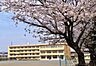 周辺：海老名市立社家小学校まで1100m