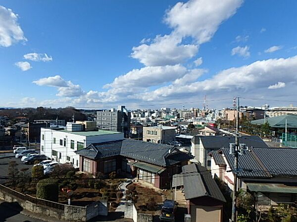 SHIRAUME TERRACE B 302号室｜茨城県水戸市白梅(賃貸マンション2LDK・3階・78.96㎡)の写真 その11