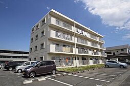 エルディム市毛