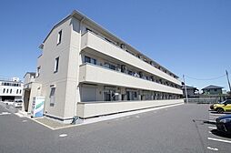 シンシア千波 A