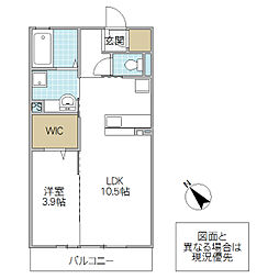 パークドオートムD 1LDKの間取図画像
