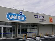 ウエルシアひたちなか堂端店