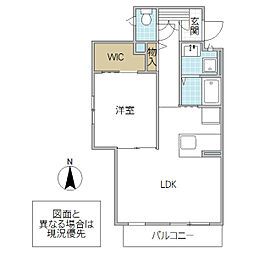 ウィステリア 1LDKの間取図画像