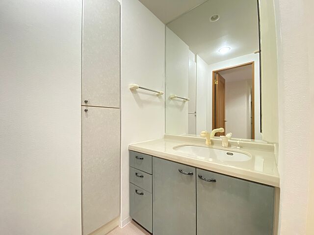 洗面 サーパス元吉田第2 1階/106号室