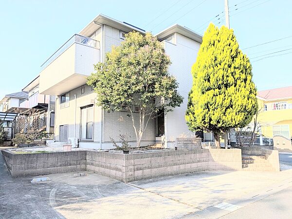 外観を拡大表示