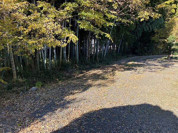 その他を拡大表示