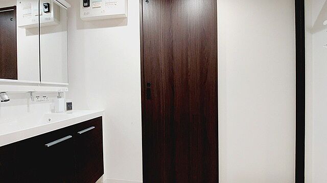 洗面 フラッツ西所沢 2階/-