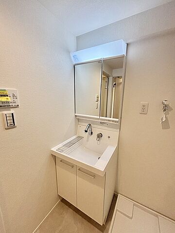 洗面 保谷パークハウスＢ棟 4階/-