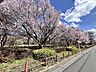 周辺：東村山中央公園 春には満開の桜並木が優しく彩る、穏やかな日々がここに （190m）