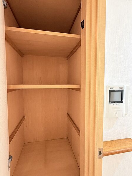 収納豊富な間取りで家の中がスッキリ片付きそうです。