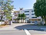 周辺：富岡中学校（950m）