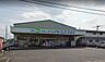 周辺：ドラッグセイムス　花崎店（1580m）