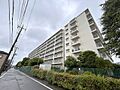 落ち着いた色味...