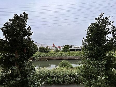 ゆったりとした緑地の多い立地ならでは！緑に包まれた環境です。 