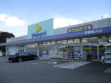 ウエルパーク大宮吉野町店（280m）