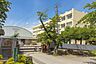 周辺：川越市立大東中学校（560m）