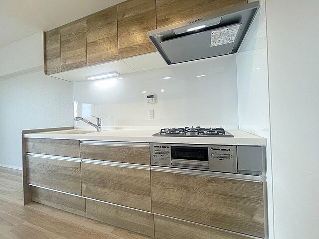 キッチン エコヴィレッジ坂戸 5階/-
