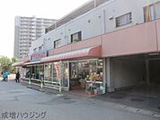 ユネスコ 881m