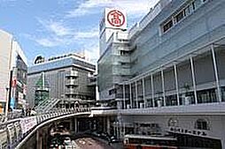 [周辺] 柏駅(JR常磐線・東武 野田線)まで400m