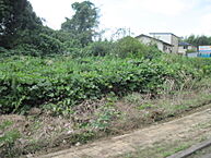 千葉県山武市美杉野4丁目3-18：物件画像