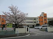 桜田小学校　約350ｍ