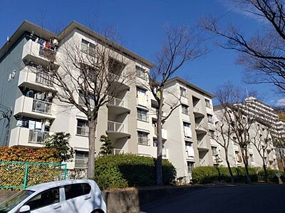 外観 外観