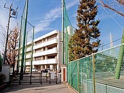 [周辺] 横浜市立六角橋中学校まで1655m