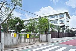[周辺] 武蔵野立第三小学校まで850m、武蔵野立第三小学校