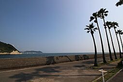 [周辺] Palm　treeをバックに海や空を堪能ください。絵になる風景があなたを出迎えます。
