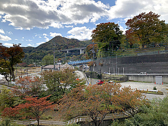 お部屋からの眺...