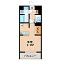 ヴィアーレ新寺8階6.7万円
