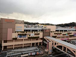 [周辺] トレッサ横浜　250m　約200もの専門店が集まる複合施設。ショッピング、グルメ、小さなお子さまも楽しめます。 