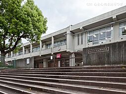 [周辺] 横浜市立いずみ野中学校　1487ｍ