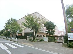 [周辺] 横浜市立中川西中学校（430m）