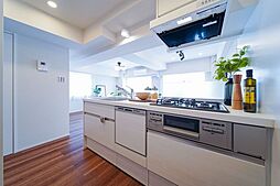 [キッチン] LIXIL製システムキッチンを新規設置。食器洗浄乾燥機付きです。