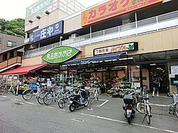 [周辺] 食品館あおば弘明寺店まで736m、京急線弘明寺駅近くにあるスーパーです