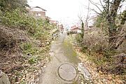 建物いくつか解体しました。広々約540坪あります。