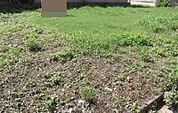 岐阜県大垣市世安町2丁目：物件画像
