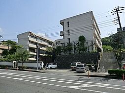 [周辺] 鎌倉市立植木小学校まで1100m
